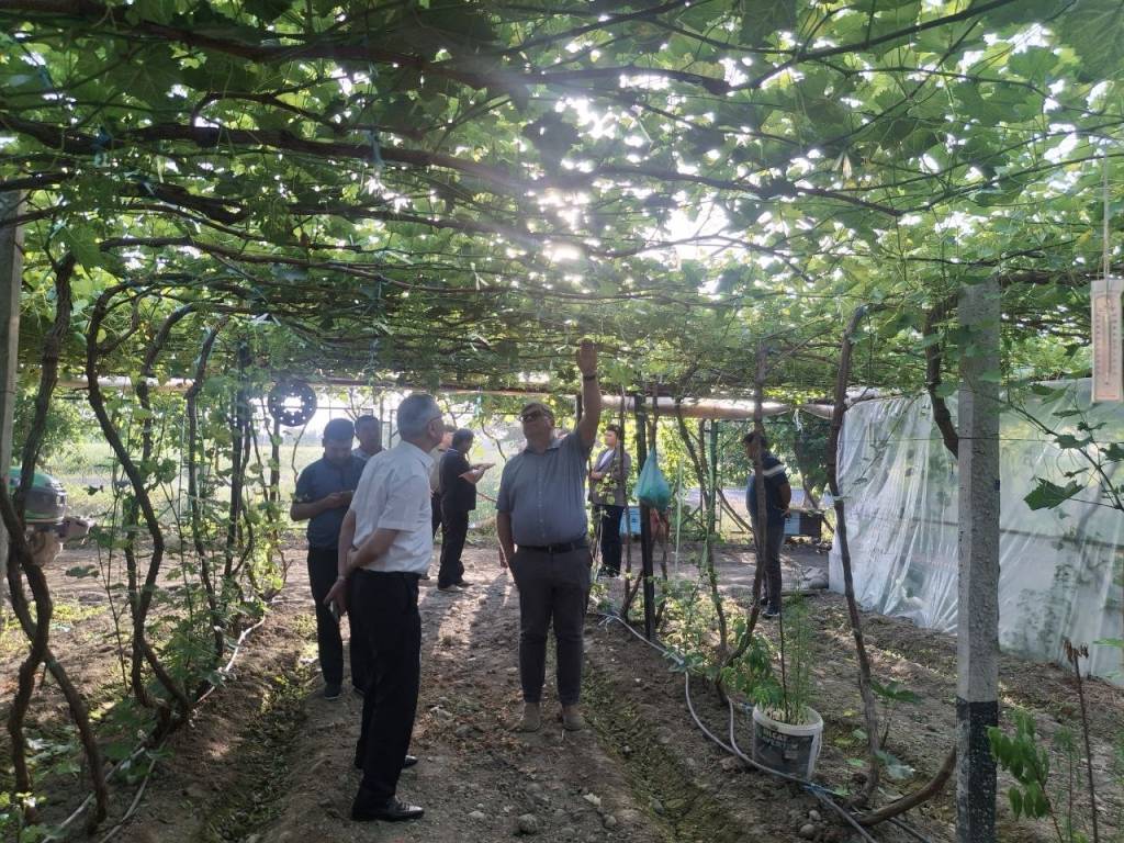 Usbekistan und Lettland starten ein Projekt zur Förderung der Beschäftigung im ländlichen Raum