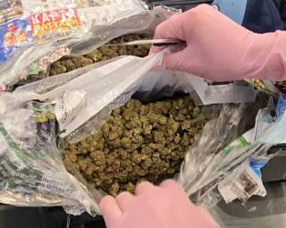 12 kilogrammga yaqin giyohvandlik vositasi aeroportda ushlandi