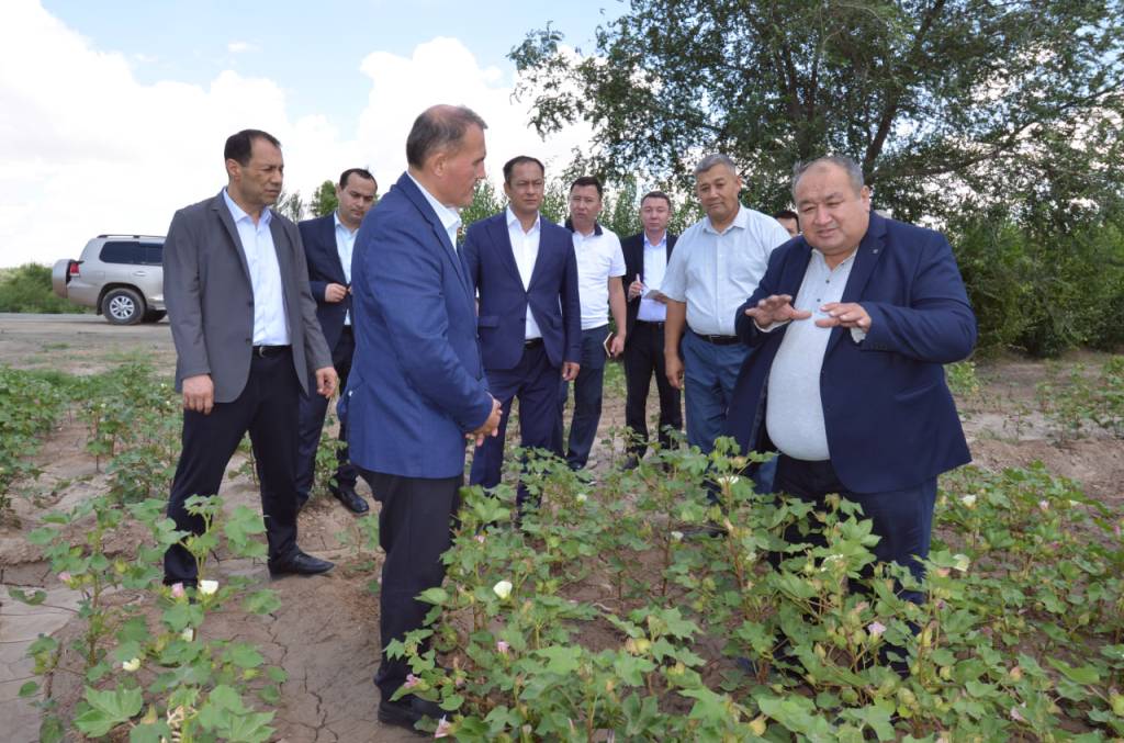 Agrar soha: samaradorlik sari izlanishlar