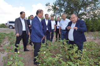 Agrar soha: samaradorlik sari izlanishlar