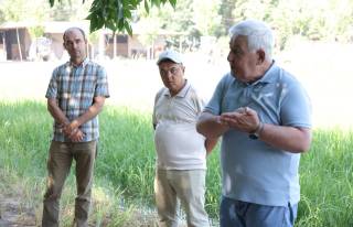 Тошкент вилояти хабарлари – қисқа сатрларда