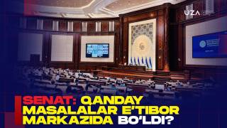 СЕНАТ: қандай масалалар эътибор марказида бўлди? (+видео)