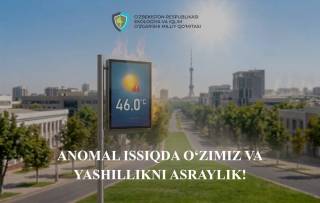 Аномал иссиқда табиатни асраш — бугуннинг энг долзарб вазифаси