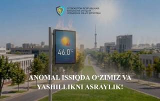 Охрана природы в условиях аномальной жары – актуальная задача