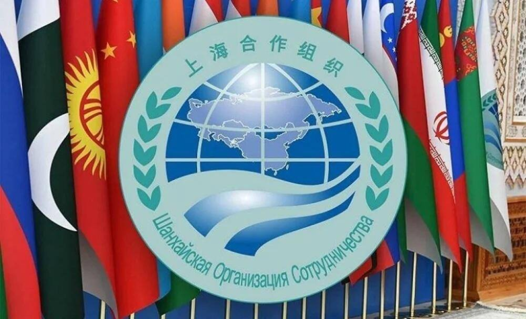 Страны ШОС укрепляют сотрудничество в сфере зеленой энергетики