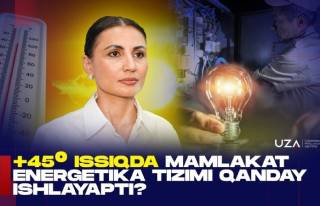 +45° иссиқда мамлакат электр тармоғи қандай ишлаяпти? Мутахассис жавоб берди (+видео)