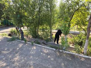 Маҳаллаларда ободонлаштириш ишлари бошланди