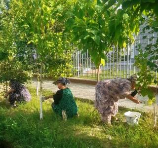 Мустақилликнинг 35 йили — бунёдкорлик ва бирдамлик тимсоли
