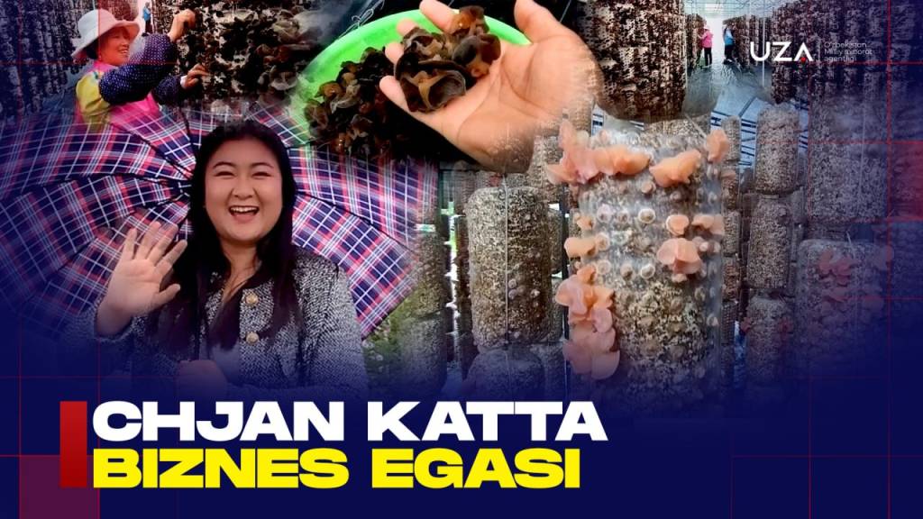 Чжан катта бизнес эгаси