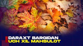 Daraxt bargidan uch xil mahsulot (+video)