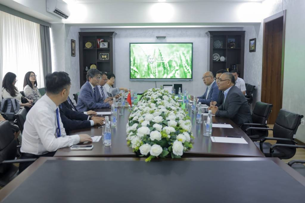 Usbekistan und China bündeln ihre Kräfte im Kampf gegen Wüstenbildung und Bodenversalzung