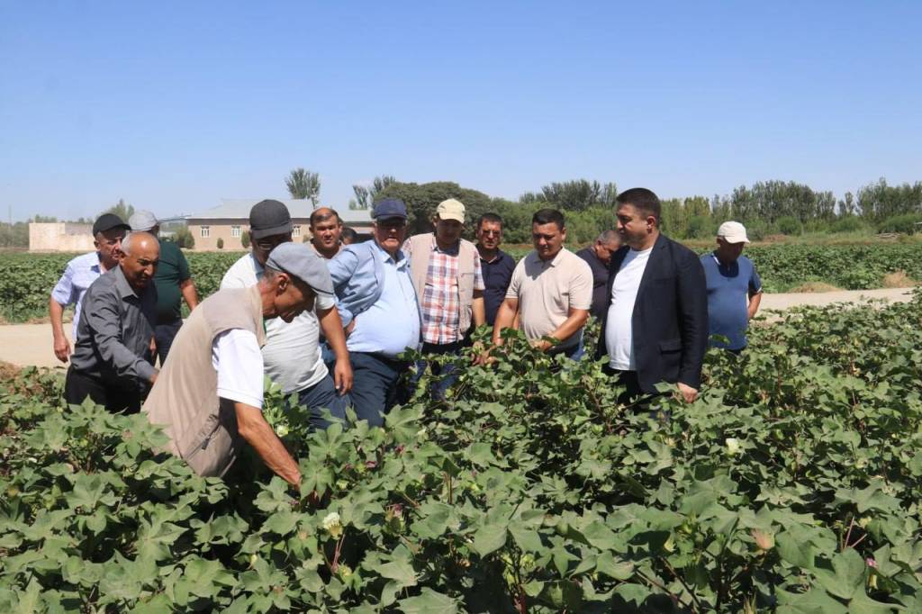 Ellikqal’ada yangi loyihalar bilan tanishildi