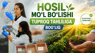 Tuproqni tahlil qilib ekish - hosilni 20 foizga oshiradi (+video)