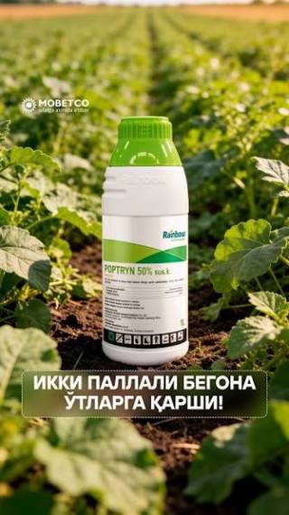 Kam xarajat evaziga mo‘l hosil yetishtirish tajribasi
