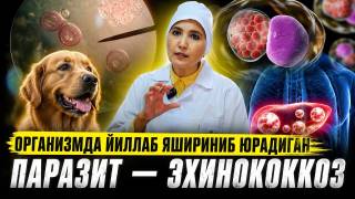 Мия, жигар, ўпка, юракни шикастлайдиган касаллик ҳақида (+видео)