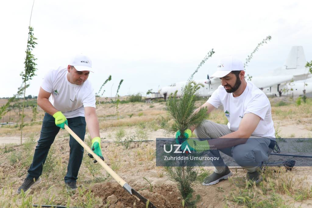 Ekologik barqarorlikka erishish — ekologik islohotlarning bosh mezoni