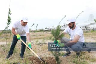 Ekologik barqarorlikka erishish — ekologik islohotlarning bosh mezoni