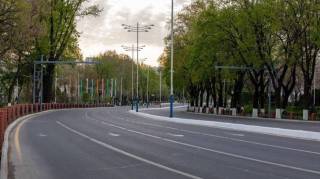 Рулда эмас, пиёда: бир кунлик экологик танлов