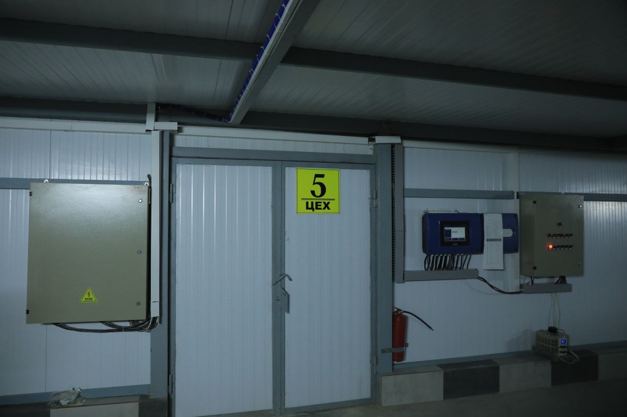 Ғаллаорол парранда-5 Ғаллаорол парранда-5