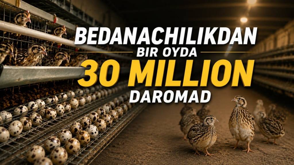 Беданачиликдан бир ойда 30 миллион даромад (+видео)