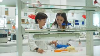 A seed’s 7,000-kilometer journey: The “Chang'an Story” of China – Kazakhstan agricultural cooperation