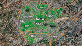 Ташкент оказался в авангарде  «зеленой» навигации