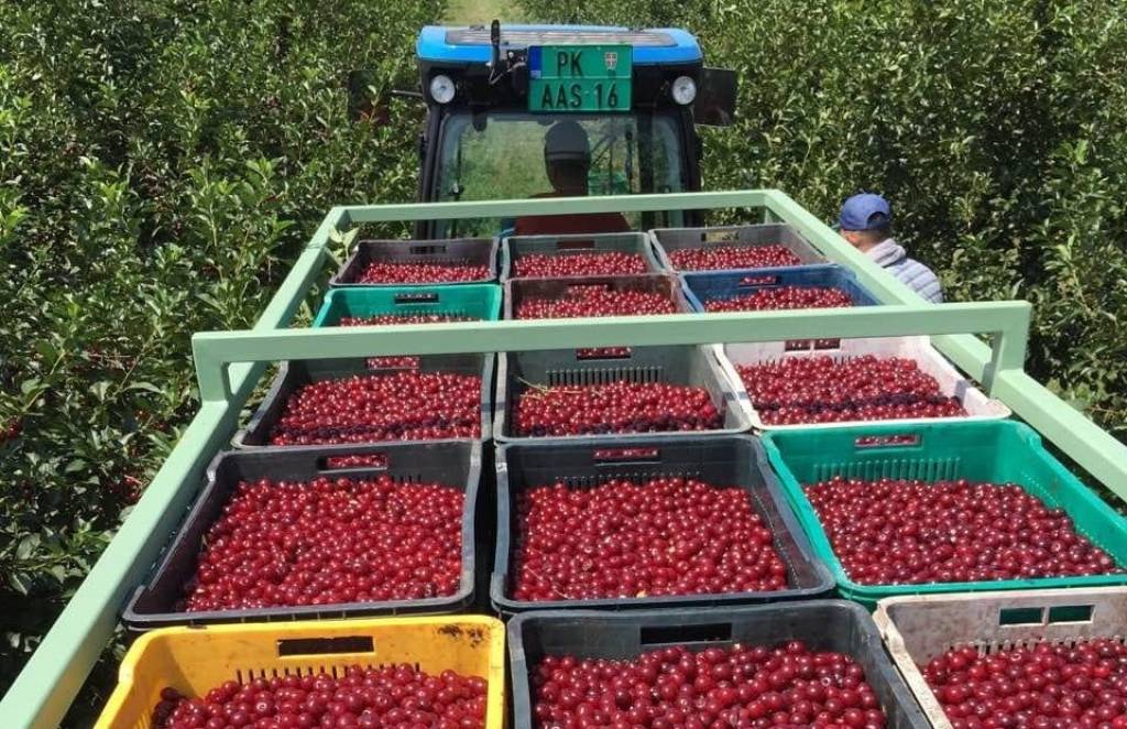 The sustainable development of agriculture is linked to qualified specialists and international experience.