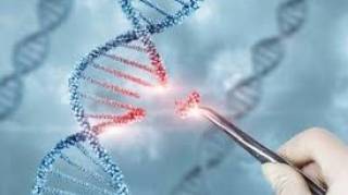 A new monograph by Uzbek scientists focusing on genomic research has been published.