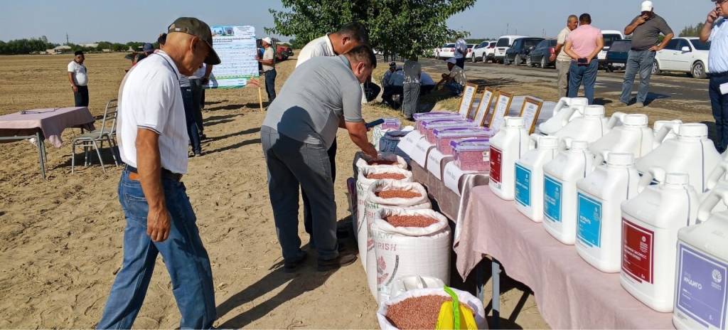 Бошоқли дон экиш ишларига старт берилди