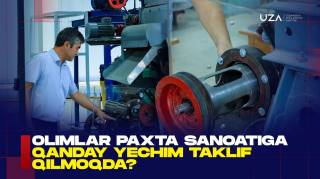 Olimlar paxta sanoatiga qanday yechim taklif qilmoqda?(+video)