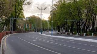 Какое значение имеет акция «День без автомобиля»?