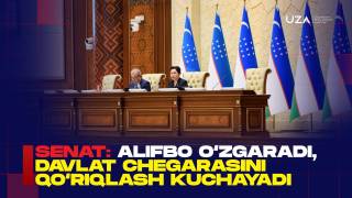 Сенат мажлиси: алифбо такомиллашади, давлат чегарасини қўриқлаш кучаяди(+видео)