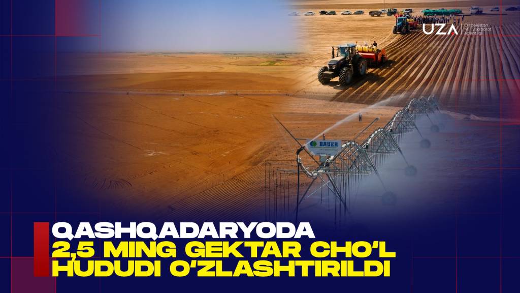 Nishon tumani cho‘llarida agrar yuksalish (+video)
