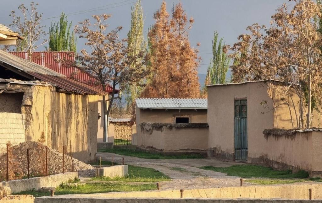 Kambag‘allik 3,9 foizga pasaydi: Yangi tizim orqali barqaror farovonlik sari