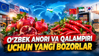 O‘zbekiston agroeksporti kengaymoqda: Anor va qalampir uchun yangi bozorlar (+video)