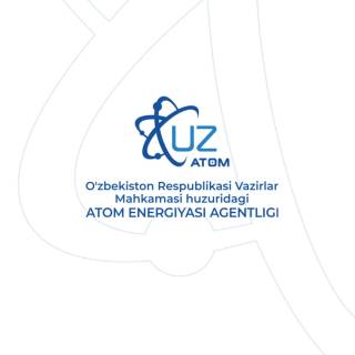 “O‘zaltın Holding” компанияси Ўзбекистондаги АЭС лойиҳасига қизиқиш билдирди