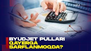 Бюджет пуллари қаерга сарфланмоқда? (+видео)