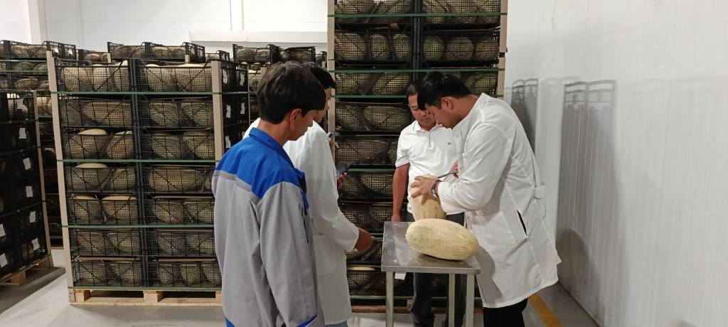 Жиззах қовунлари Хитой бозорида
