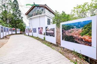 Guychjoudagi fotofestival: tabiat, inson va madaniyat uyg‘unligi