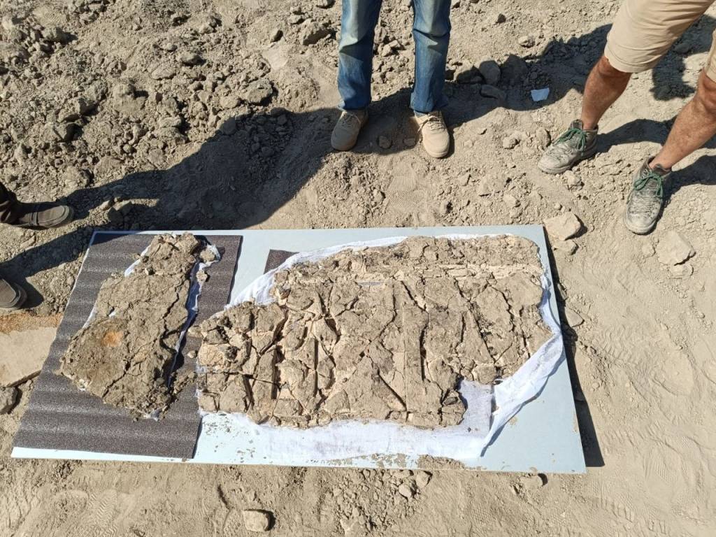 Tarix qo‘ynidan topilgan nodir bitiklar