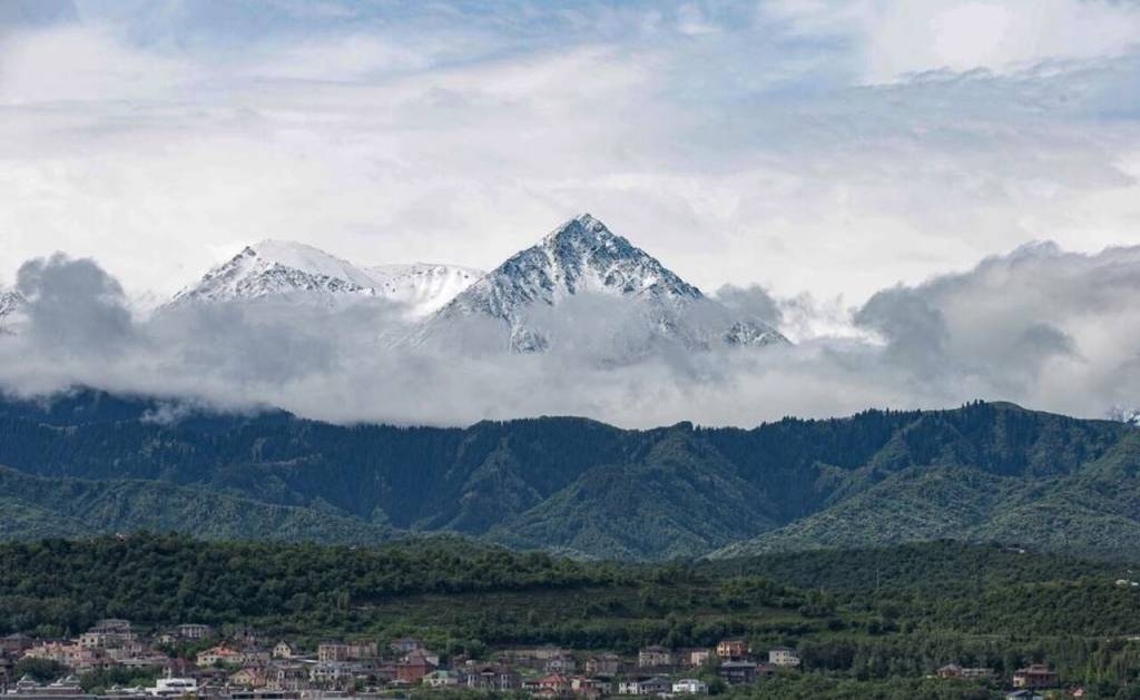 ф ф