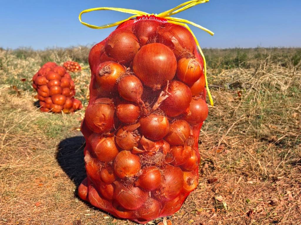 БМБ Зомин-4