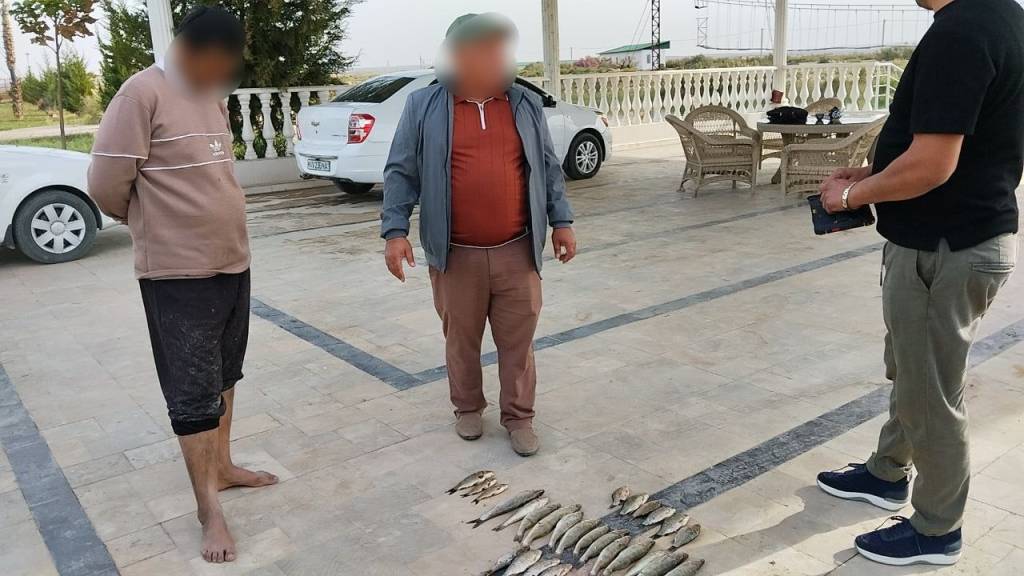 Ноқонуний балиқ овлаш ҳолати аниқланди