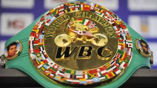 WBC рейтингида боксчиларимизнинг ўрни қандай?