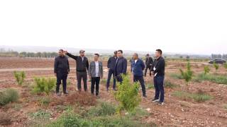 Farg‘onada 14 ming gektar intensiv bog‘lar tashkil etilmoqda