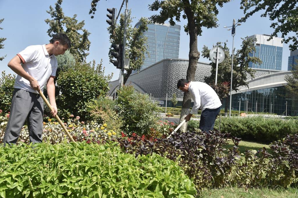 “Tozalik va ozodalik” dolzarb ikki oyligi davom etmoqda