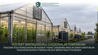 Issiqxonalar uchun yangi talablar qo‘yilmoqda