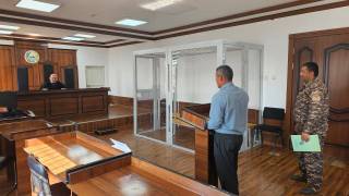 Saksovullarning noqonuniy kesilishi cho‘l ekotizimiga katta zarar yetkazadi