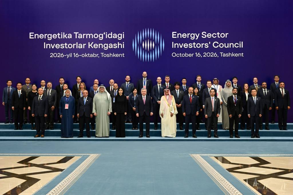 President discusses accelerating energy-sector reforms with investors