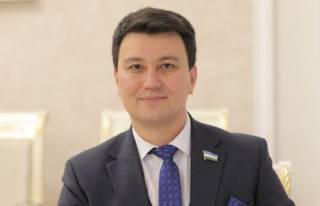 Созвучные принципы, схожие подходы